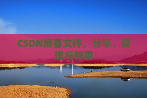 CSDN博客文件，分享、管理与利用